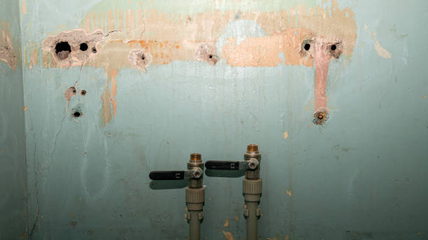 Best Water damage contractors near me  in Girard, KS